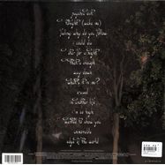 Back View : Lipsticism - WANTED TO SHOW YOU (LP) - Phantom Limb / PHNTM53