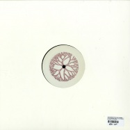 Back View : Tevo Howard feat Rick Howard - HOUSE ROOM EP (PAUL DU LAC REMIXES) - Bio Rhythm / RHYTHM005