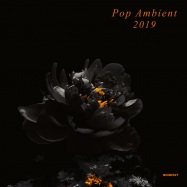 Back View : Various Artists - POP AMBIENT 2019 (CD) - Kompakt / Kompakt CD 150