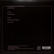 Back View : Harmonious Thelonious - AVENTURE - Couldnt Care More / NT010