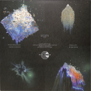Back View : Sound Synthesis - BEAUTY WITHIN - Furthur Electronix / FE059