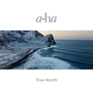 Back View : A-Ha - TRUE NORTH (2X RECYCLED 12INCH BLACK HEAVY WEIGHT) - RCA Local / 19658708301