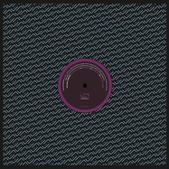 Back View : Giuliano Lomonte - MOONLIGHT EP - raum...musik / MUSIK120