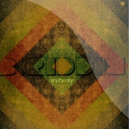 Front View : B. Riddim - (IN) THEORY EP - Third Ear / 3EEP201202