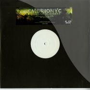 Front View : Embrionyc - SEEING IS NOT BELIEVING EP - Important Hardcore / imphcx001
