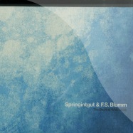 Front View : Springintgut & F.S. Blumm - THE BIRD AND WHITE NOISE (CD) - Pingipung 43 CD