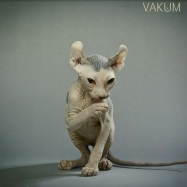 Front View : Vakum - KNOT EP (THOMAS URV REMIX) - Ploink / Ploink08