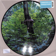 Front View : Tomberlin - PROJECTIONS (PICTURE DISC) - Saddle Creek / LBJ312