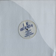 Front View : Iz & Diz - WHAT WE NEED - Silver Network / Sil001