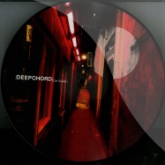 Front View : Deepchord - DE WALLEN (PICTURE DISC, VINYL ONLY) - Soma378