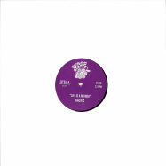 Front View : Galxtc - LIFE IS A MIRROR (REPRESS) - Space Grapes / SGP002
