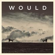 Front View : Would - BE OKAY TO NOT BE OKAY (LP) - Devilduck / 05253391