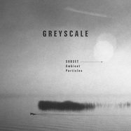 Front View : Subset - AMBIENT PARTICLES (CD) - GREYSCALE / GRSCL33