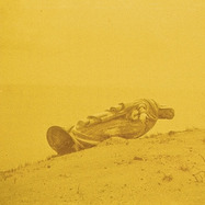 Front View : Midi Janitor - CLOSED FOR THE FESTIVAL (LP) - WE ARE BUSY BODIES / LPWABB226