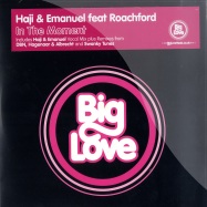 Front View : Haji & Emanuel feat. Roachford - IN THE MOMENT - Big Love / BL045