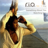 Front View : Rio feat Liz Kay - SOMETHING ABOUT YOU (MAXI CD) - D:Vision / DV688.10cds
