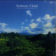 Front View : Anthony Child - ELECTRONIC RECORDINGS FROM MAUI JUNGLE VOL 2 (2X12 INCH LP) - Editions Mego / Emego230
