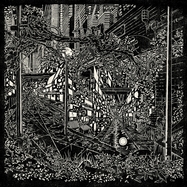 Front View : Jake Long - CITY SWAMP (LP) - New Soil / NSLP54