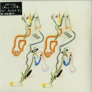 Front View : Animal Collective - THE PAINTERS EP (12 INCH + MP3) - Domino Records / RUG812T
