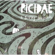Front View : Picidae - A STRAY LABYRINTH (LP) - Pias, Diger Distro / 39154691