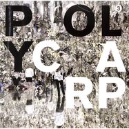 Front View : Simon Ferdinand - SIX MONTHS - Polycarp Records / PCR012