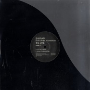 Front View : Sharam ft. Daniel Bedingfield - THE ONE PART 1 - Data Records / Data196TP1