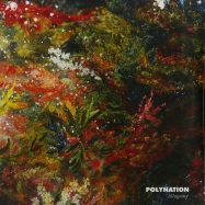 Front View : Polynation - ALLOGAMY - Atomnation / 05117636