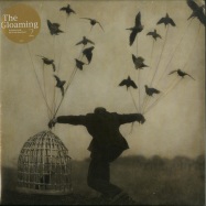 Front View : The Gloaming - 2 (2X12 LP + MP3) - Real World / 39138211