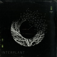 Front View : ORBE - INTERPLANT (3X12 INCH) - Orbe / ORB007