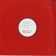 Front View : Franco F / Marika Lenny - WELCOME TO PARADISE ADE - Safe Trip / ST003-12_ADE