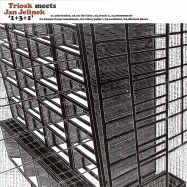 Front View : Triosk Meets Jan Jelinek - 1 3 1 (LP) - Faitiche / fait-back05LP
