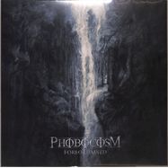 Front View : Phobocosm - FOREORDAINED (VINYL) (LP) - Dark Descent Records / DDR 304LP
