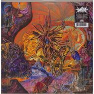 Front View : Slimelord - CHYTRIDIOMYCOSIS RELINQUISHED (ORANGE / BLUE GALAXY) (LP) - 20 Buck Spin / SPIN 177LPC