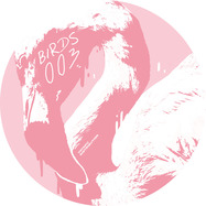 Front View : Dan Piu - COLLAGE OF MEMORIES EP - Birds / BIRD003