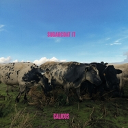 Front View : Calicos - SUGARCOAT IT (LP) - MAYWAY RECORDS / MAYWAYL51