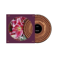 Front View : Richard Hawley - COLES CORNER (20TH ANNIVERSARY LTD.EDITION Zoetrope LP) - Parlophone Label Group (PLG) / 502173262410
