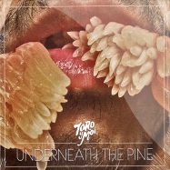 Front View : Toro Y Moi - UNDERNEATH THE PINE (CD) - Carpark Records / cak059