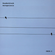 Front View : Wunderblock - AUTOPOIESIS (CD) - IBID.1