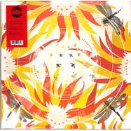 Front View : Alabaster Deplume - COME WITH FIERCE GRACE (LP) - International Anthem / IARC070LP / 05248781