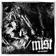 Front View : Mist - NO ESTEEM (LP) - Spastic Fantastic Records / 30347