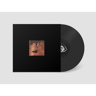 Front View : The (For Now) Orchestra - PLAN 75 (LP) - END OF THE ROAD / TOFN3V
