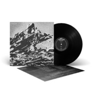 Front View : Fagus - INTER (LP) - SILENT FUTURE RECORDINGS / LPSIFR5