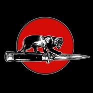 Front View : Jim Jones All Stars - CAT FIGHT (LP) - SILVER ARROW / SARLP68