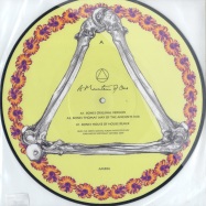 Front View : A Mountain Of One - BONES/ HOUSE OF HOUSE RMX (MAP OF AFRICA) PIC DISC - Ammo006t