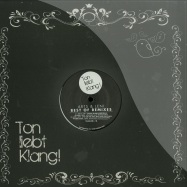 Front View : Arts & Leni - BEST OF REMIXES - Ton Liebt Klang Records / TLK032