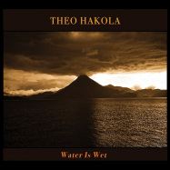 Front View : Theo Hakola - WATER IS WET (LP) - Microcultures / MM0053LP