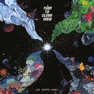 Front View : Joe Armon-Jones - TURN TO CLEAR VIEW (REISSUE 2020) (LP) - Brownswood / BWOOD207LPR