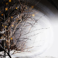 Front View : Winterlight - WINTERLIGHT LP - Winterlight Recordings / WINTERLP001