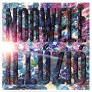 Front View : Norwell - ILLUZIO (LP) - Riverette / RVRT016