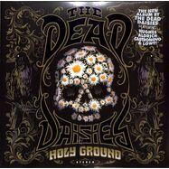 Front View : The Dead Daisies - HOLY GROUND (2LP) (TRANSPARENT/VIOLETT) - The Dead Daisies Pty Ltd. / 243401